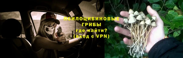герыч Аркадак