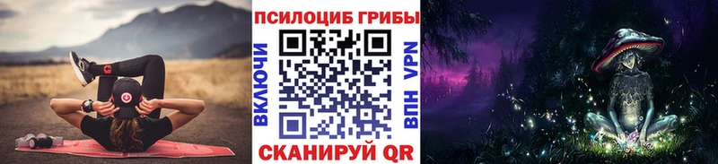 Псилоцибиновые грибы MAGIC MUSHROOMS  купить наркотики цена  Бобров 